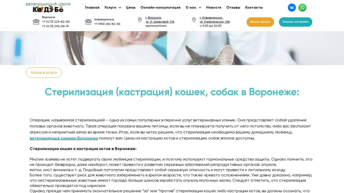 Стерелизация кошек в Воронеже, кастрация котов - низкие цены | Ветклиника  